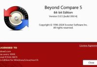 Beyond Compare 5.0.7 Portable-Pre-Activated-wsload
